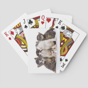 Jeu De Cartes Japanese cat