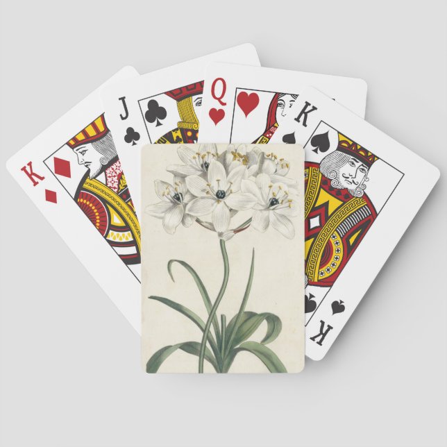 Jeu De Cartes Jardin d'ivoire (dos)