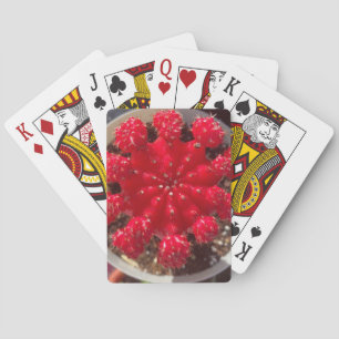 Jeu De Cartes Jardin haut de Fleur de Cactus Rouge