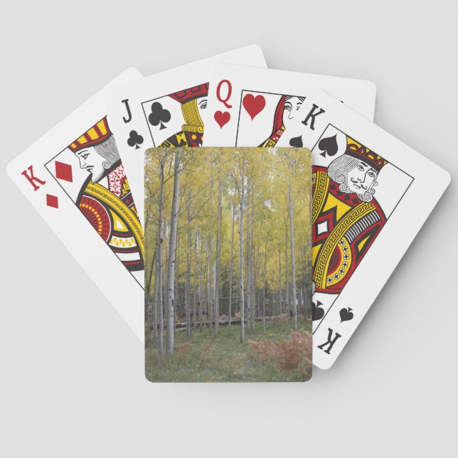 Jeu De Cartes Jaune d'Aspen (dos)