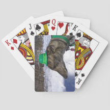 Je vais te faire courir !"