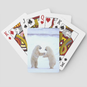 Jeu De Cartes Jeu d'ours polaire