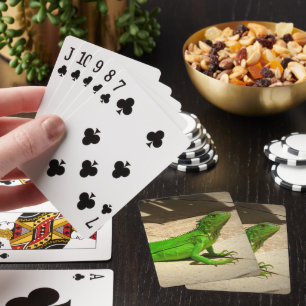 Jeu De Cartes Jeune Iguana verte sur le chemin de la roche