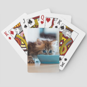 Jeu De Cartes Jeune Kitten perse