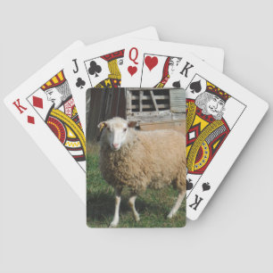 Jeu De Cartes Jeune mouton blanc sur la ferme