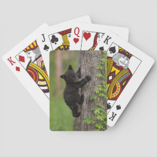 Jeu De Cartes Jeune ours noir grimpant à un arbre