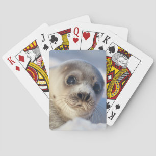 Jeu De Cartes Jeune Phoque du Groenland