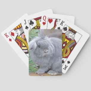 Jeu De Cartes Joli lapin gris