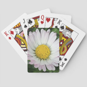 Jeu De Cartes Jolie marguerite