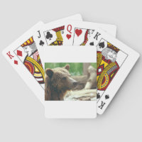 Jolie nature adorable Ours Visage animal