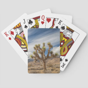 Jeu De Cartes Joshua Trees dans le désert