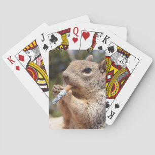 Jeu De Cartes Jouer aux cartes d'écureuil