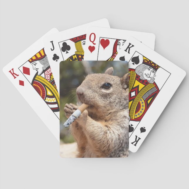 Jeu De Cartes Jouer aux cartes d'écureuil (dos)