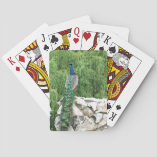 Jeu De Cartes Jouer aux cartes Peacock dans le jardin