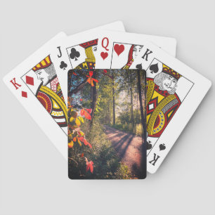 Jeu De Cartes Jouer aux cartes, style : Poker
