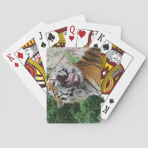 Jouer aux cartes tigres