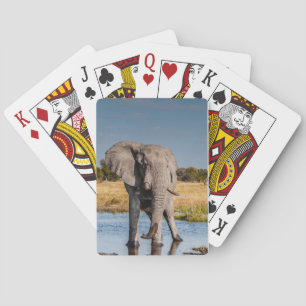 Jeu De Cartes Jouer des cartes avec l'image avant d'Elephant