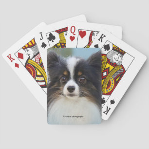 Jeu De Cartes Jouet Papillon mignonne Chien espagnol à l'quai