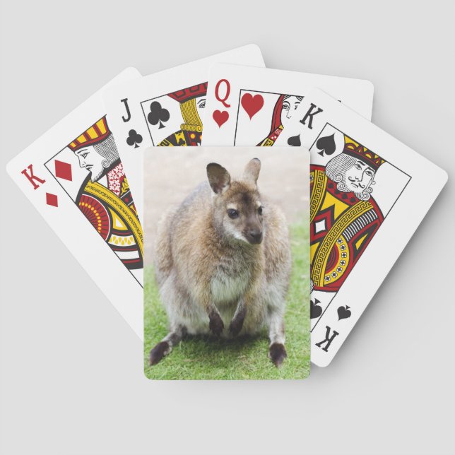 Jeu De Cartes Kangaroo (dos)