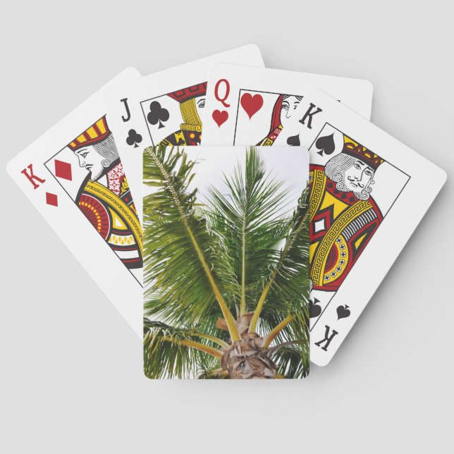 Jeu De Cartes Key West, tropical, palmier (dos)