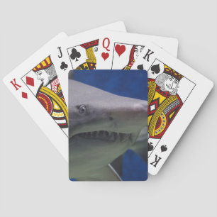 Jeu De Cartes KILLER SHARK jouer aux cartes