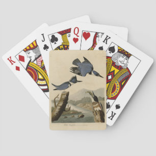 Jeu De Cartes Kingfisher Belted des oiseaux d'Amérique d'Audubon