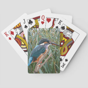 Jeu De Cartes Kingfisher et Willow 