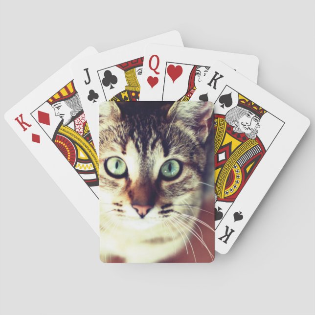 Jeu De Cartes Kitten (dos)