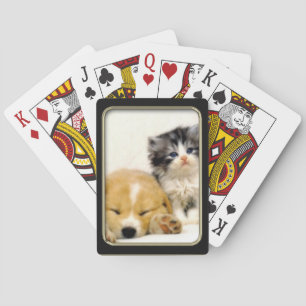 Jeu De Cartes Kitten et Chiot Photo Art Jouer des cartes
