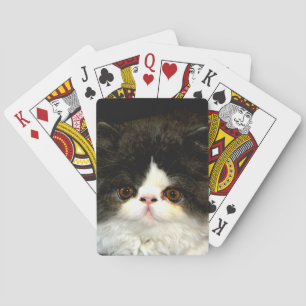 Jeu De Cartes Kitten noir et blanc