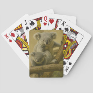 Jeu De Cartes Koala Companions - Tender Wildlife Art Print