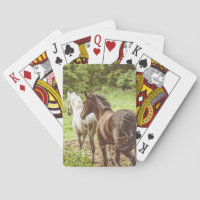 La Ferme Rustique des beaux chevaux