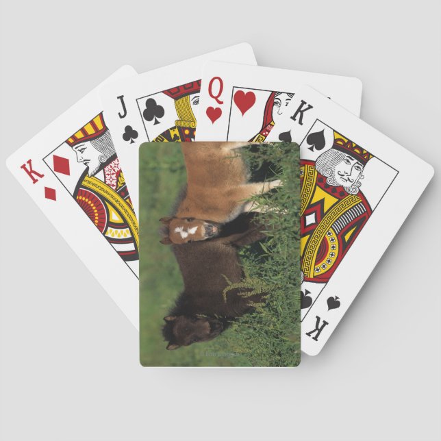 Jeu De Cartes La miniature pouline dans l'herbe (dos)