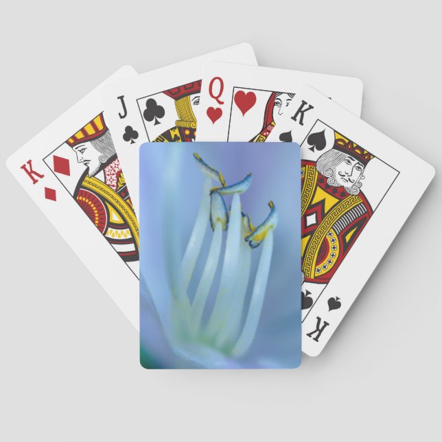 Jeu De Cartes La Terre (dos)