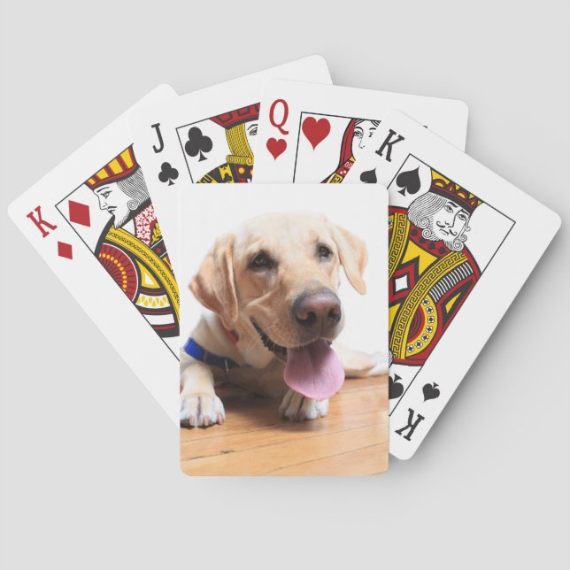 Jeu De Cartes Labrador retriever (dos)