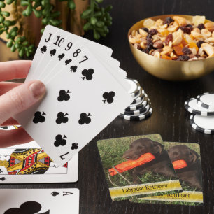 Jeu De Cartes Labrador Retriever Chasse Chien Photo Modèle