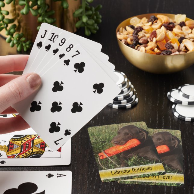 Jeu De Cartes Labrador Retriever Chasse Chien Photo Modèle (In Situ)