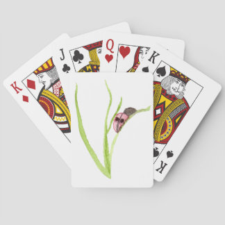 Jeu De Cartes Ladybug