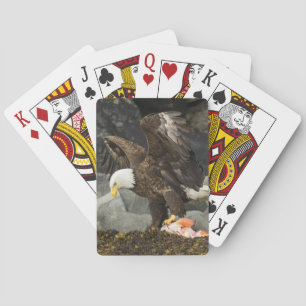 Jeu De Cartes L'aigle chauve ultime