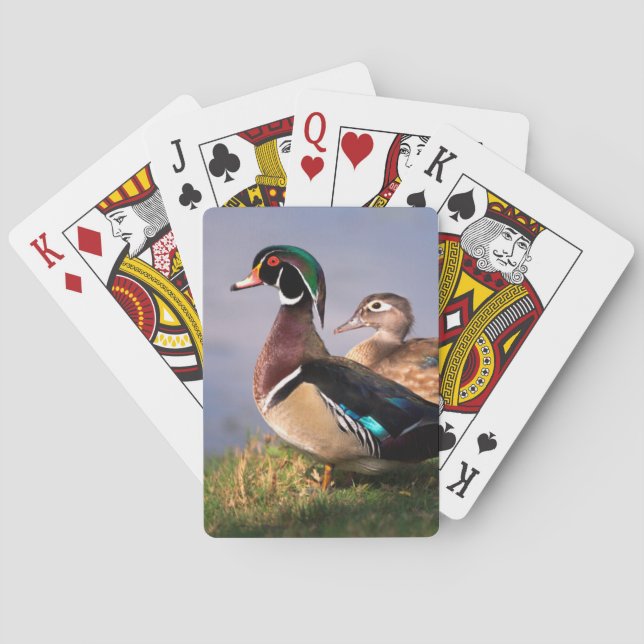 Jeu De Cartes Lakeside, canard en bois (dos)