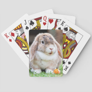 Jeu De Cartes lapin à oreilles de lop mignon