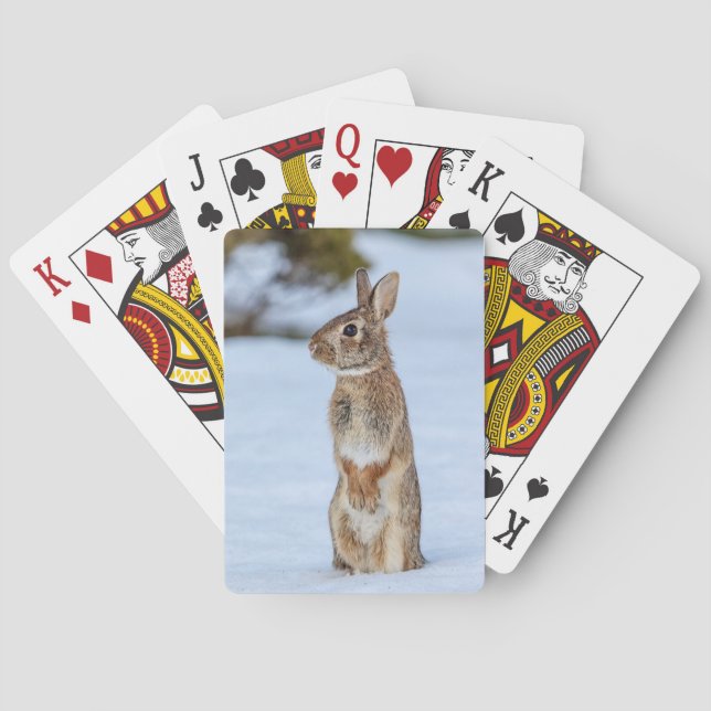 Jeu De Cartes Lapin dans la neige (dos)