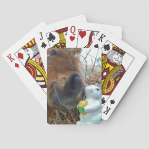Jeu De Cartes Lapin de Pâques et cheval Brown