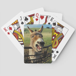 Jeu De Cartes Laughing Donkey Mule Playing Cards