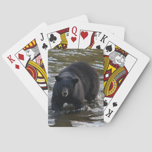 Jeu De Cartes Le Bear Deck (dos)