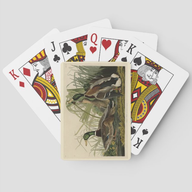 Jeu De Cartes Le canard colvert des oiseaux d'Amérique d'Audubon (dos)