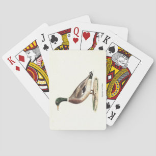 Jeu De Cartes Le canard colvert ou sauvage (Anas platyrhynchos)