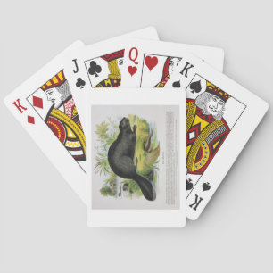 Jeu De Cartes Le castor, pub éducatif d'illustration. par le S