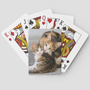 Jeu De Cartes Le chat de mère aime le chaton mignon, jouant