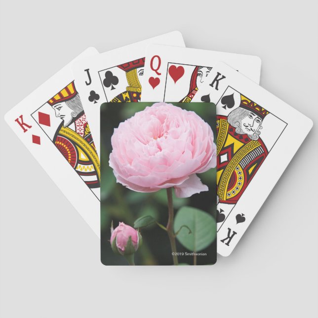 Jeu De Cartes Le château d'Alnwick s'est levé (dos)